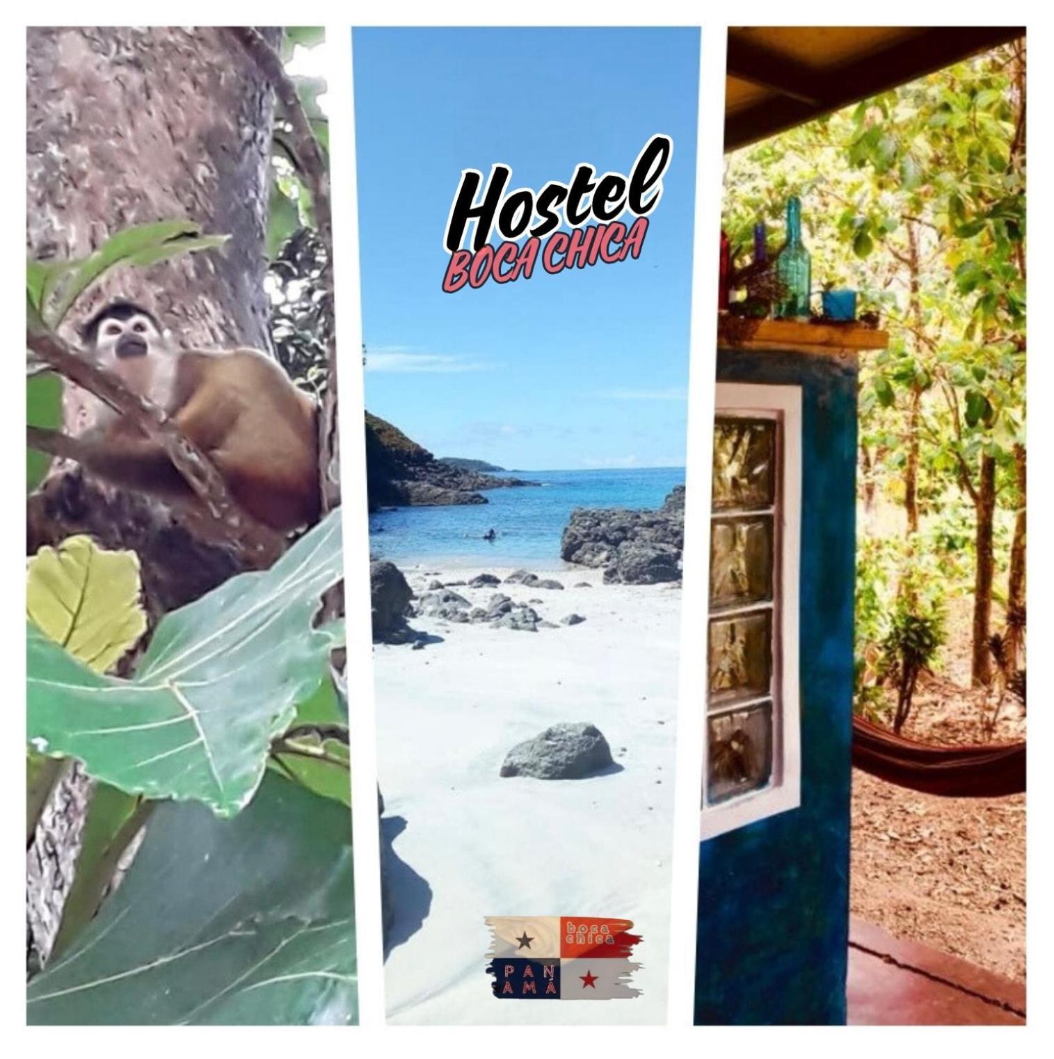 Hostel Boca Chica Exteriör bild